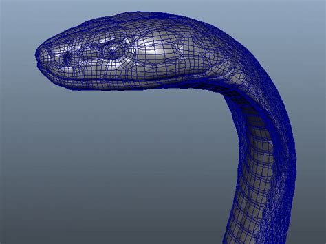 Cobra Snake 3d Model Object Files Free Download Cadnav