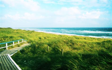 Wallpaper Sunlight Landscape Sea Bay Hill Nature Shore Grass