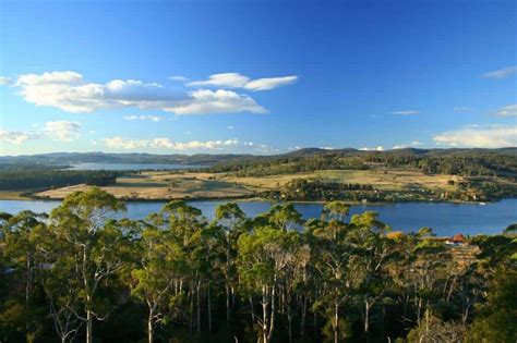 Tamar River Tourist Attractions Discover Tasmania