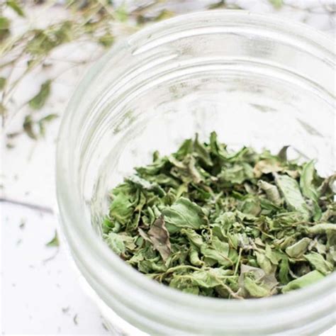 A Glass Jar Filled With Green Leaves On Top Of A White Countertop Next
