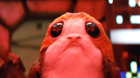 It S Time To Fall In Love With The Porgs In Star Wars The Last Jedi