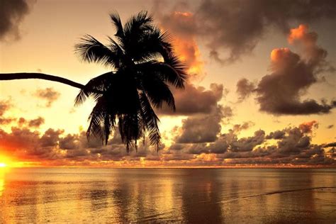 Hawaii Sunset Wallpaper ·① Wallpapertag