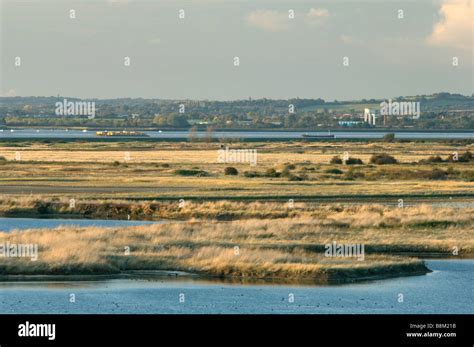 Cliffe Pools Rspb Hi Res Stock Photography And Images Alamy