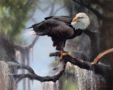 American Bald Eagle Painting By Ed Yanok Fine Art America