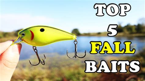Top Best Lures For Bass Fishing In The Fall Youtube