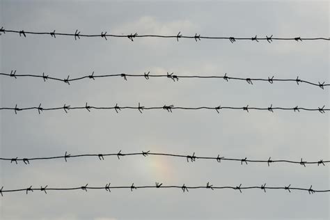 Premium Photo | Several lines of barbed wire