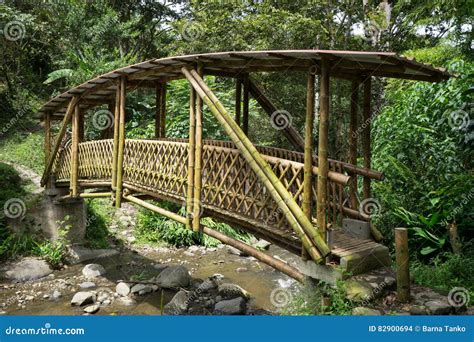 Bamboo Bridge Stock Photo Image Of Colombia Structure 82900694