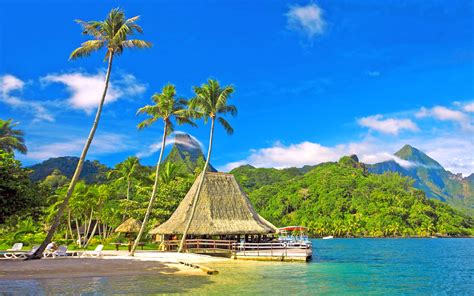 Tropical Scenery Coast Palm Trees Huts Bungalows