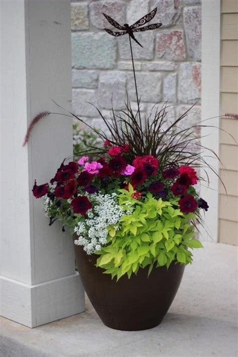 This category includes the native flora of vietnam. 15 Most Beautiful Patio Flower Ideas You Will Love 20 ...
