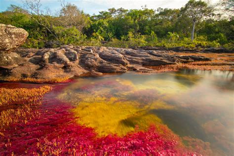 Caño Cristales 3 Day Tour With Flight Tickets Gran Colombia Tours