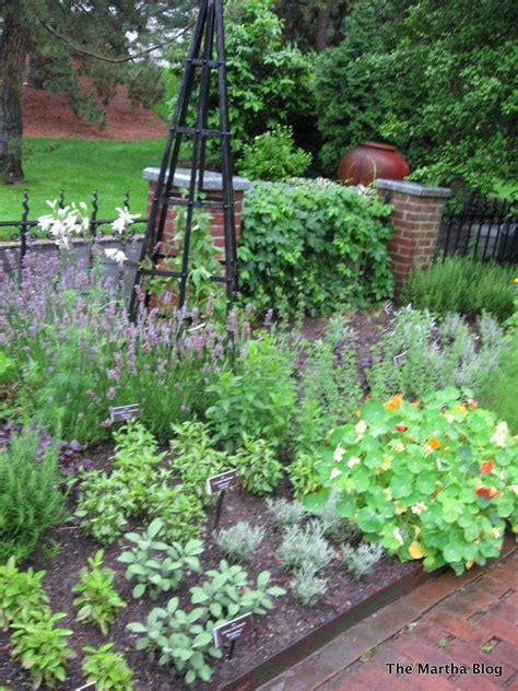 The Martha Stewart Culinary Herb Garden At The Nybg And My Favorite