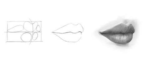 How To Draw A Realistic Lips Step By Step For Beginners Vlrengbr