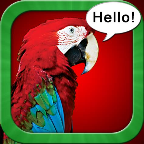 Teach Your Parrot To Talk The Bird Training App By Navyduck Llc