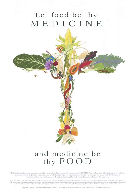 Let Food Be Thy Medicine Hilary Costello Art Medicine Book Food