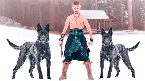 These Are The 10 Scandinavian Dog Breeds Youtube