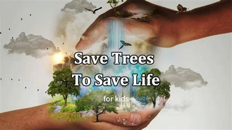 Save Tree Save Trees Save Earth Save Trees Save Life Vrogue Co