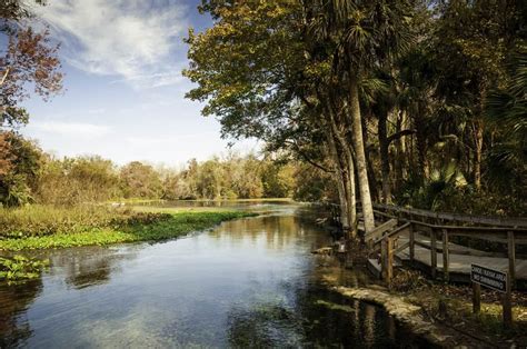 12 Best Hikes In Orlando You Shouldnt Miss Florida Trippers In 2023