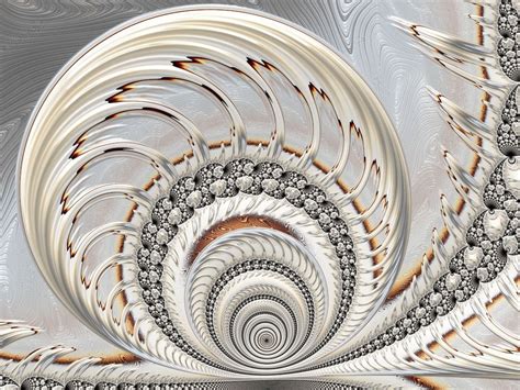 Pearl More Fractal Patterns Patterns In Nature Spirals In Nature New
