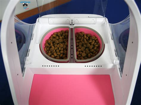 H 20 x w 23 x d 32 cm bowl capacity: SureFeed Microchip Pet Feeder Connect Review | Australian ...