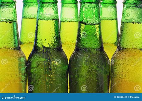 Row Of Beer Bottles Stock Image Image Of Color Prespiration 37393415