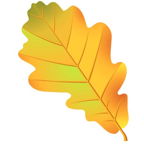 Leaf Oak Tree Acorn Drawing - Leaf png download - 555*555 - Free Transparent Leaf png Download ...