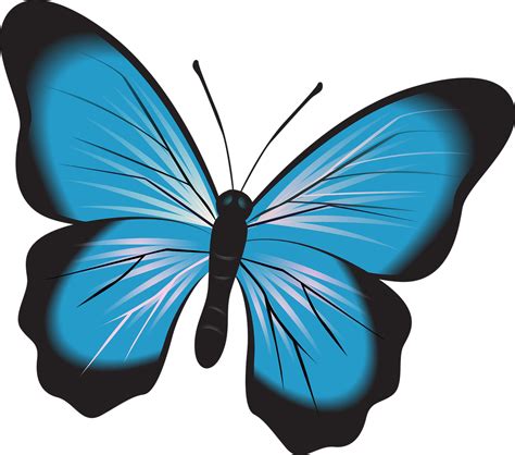 Imagini Pentru Imagini Cu Fluturi De Colorat Butterfly Drawing My Xxx