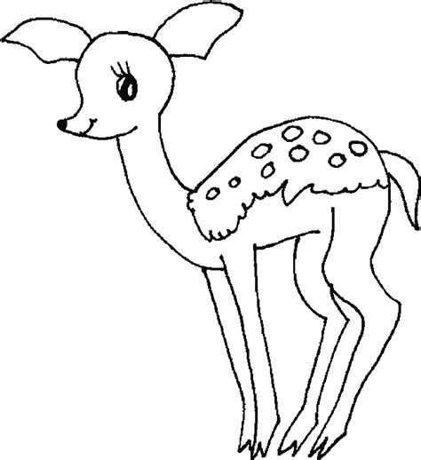 Doe Coloring Pages