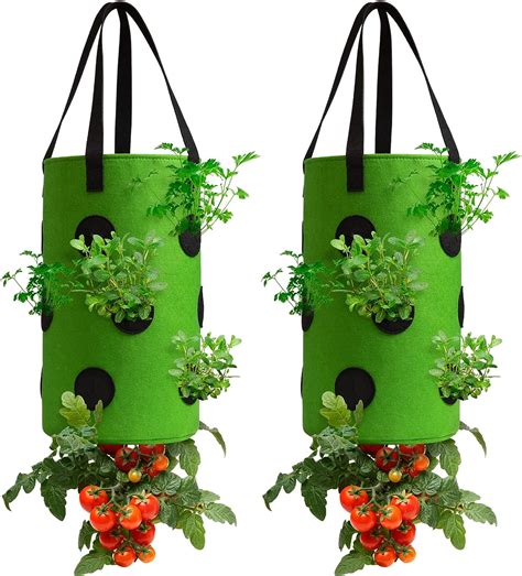 24 Best Hanging Planters For Strawberry In 2023 According To 445