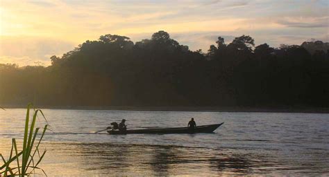 Manu National Park 5 Days Amazon Rainforest 5 Days Peru Summit