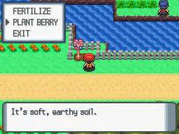 Berry trees are located throughout each region and regenerate daily. Serebii.net Games - Growing Berries