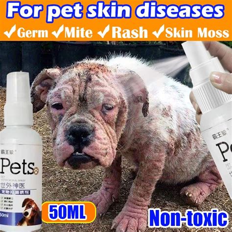 Pet Anti Fungal Spray 50ml Dog Skin Disease Treatment Dog Allergies