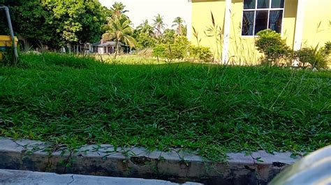 Hanya dengan mengganti kepala pisau mesin pemotong rumput, maka mesin ini memiliki fungsi yang sama dengan pompa air. x naim 06 mesin rumput membersikan kawasan sekolah tempat ...
