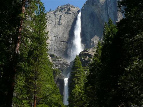 Five Famous Falls In Yosemite The Pines Resort Blog