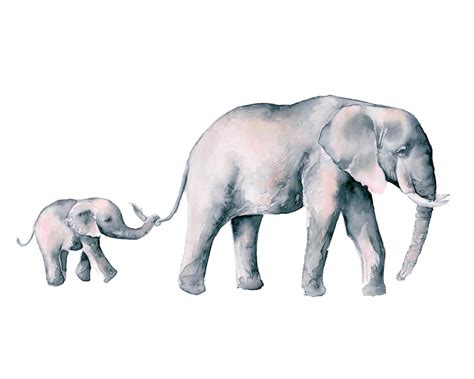 Drawing Mom And Baby Elephant Holding Tail Peepsburghcom