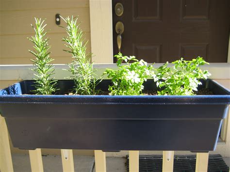 Handmade Homebody Window Box Herb Garden