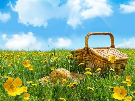 Picnic Basket Hd Wallpapers And Backgrounds