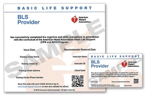 American heart association cpr card online. Replacement Card