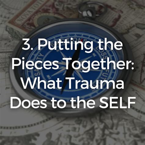 3 Putting The Pieces Together What Trauma Does To The Self