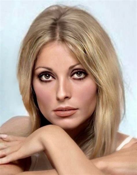 Pin By Ana Paula On Tate Sharon Tate Lady Gaga Pictures Hollywood