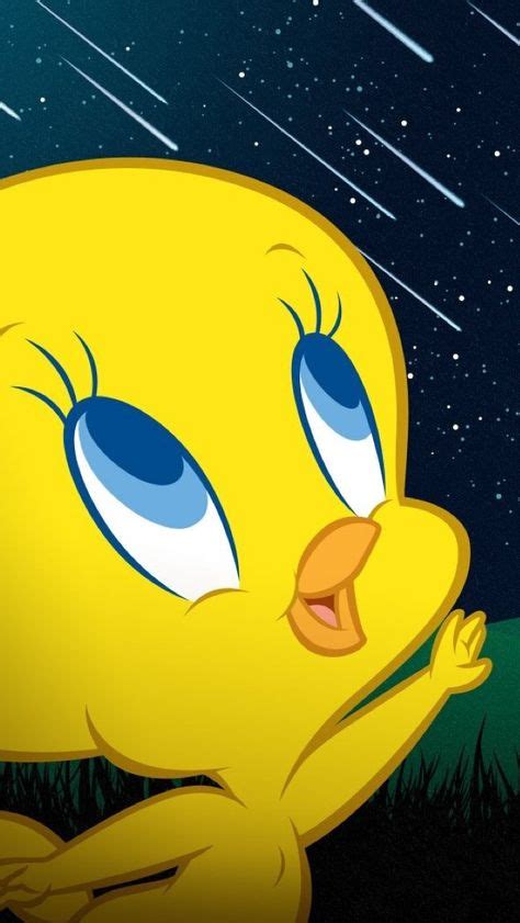269 Best Tweety Bird Images On Pinterest Looney Tunes Wallpapers And