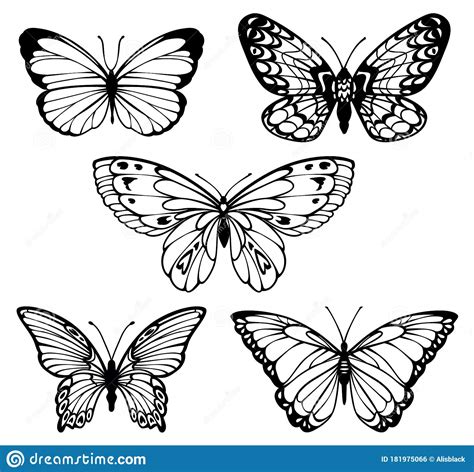 Vector Outline Set Of Contour Stylized Beautiful