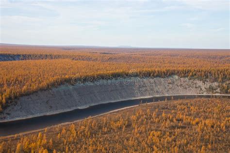 Siberian River And Larch Taiga In The Fall Stock Photo Image Of