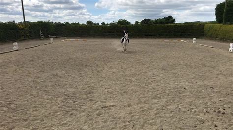 South Munster Introduction To Dressage Test C Youtube
