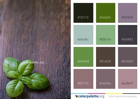 Green Leaf Basil Color Palette