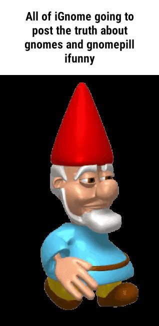 All Of Ignome Going To Post The Truth About Gnomes And Gnomepill Ifunny