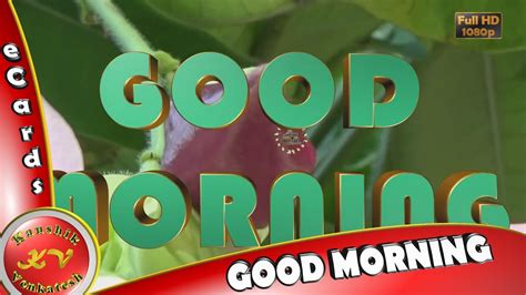 Good Morning Wishes Free Animated Ecards Morning Video