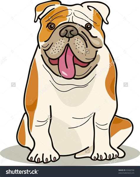 Purebred English Bulldog Bulldog Drawing Bulldog Clipart Bulldog