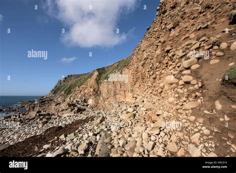 Geology Geological Raised Beach Porth Nanven Cornwall England Uk Sssi