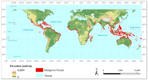Map Of The Week Global Loss Of Mangrove Forests Ubique