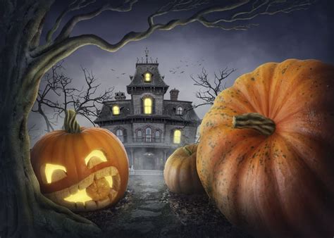 Top 10 Tips For A Diy Haunted House With Images Haunted House Diy
